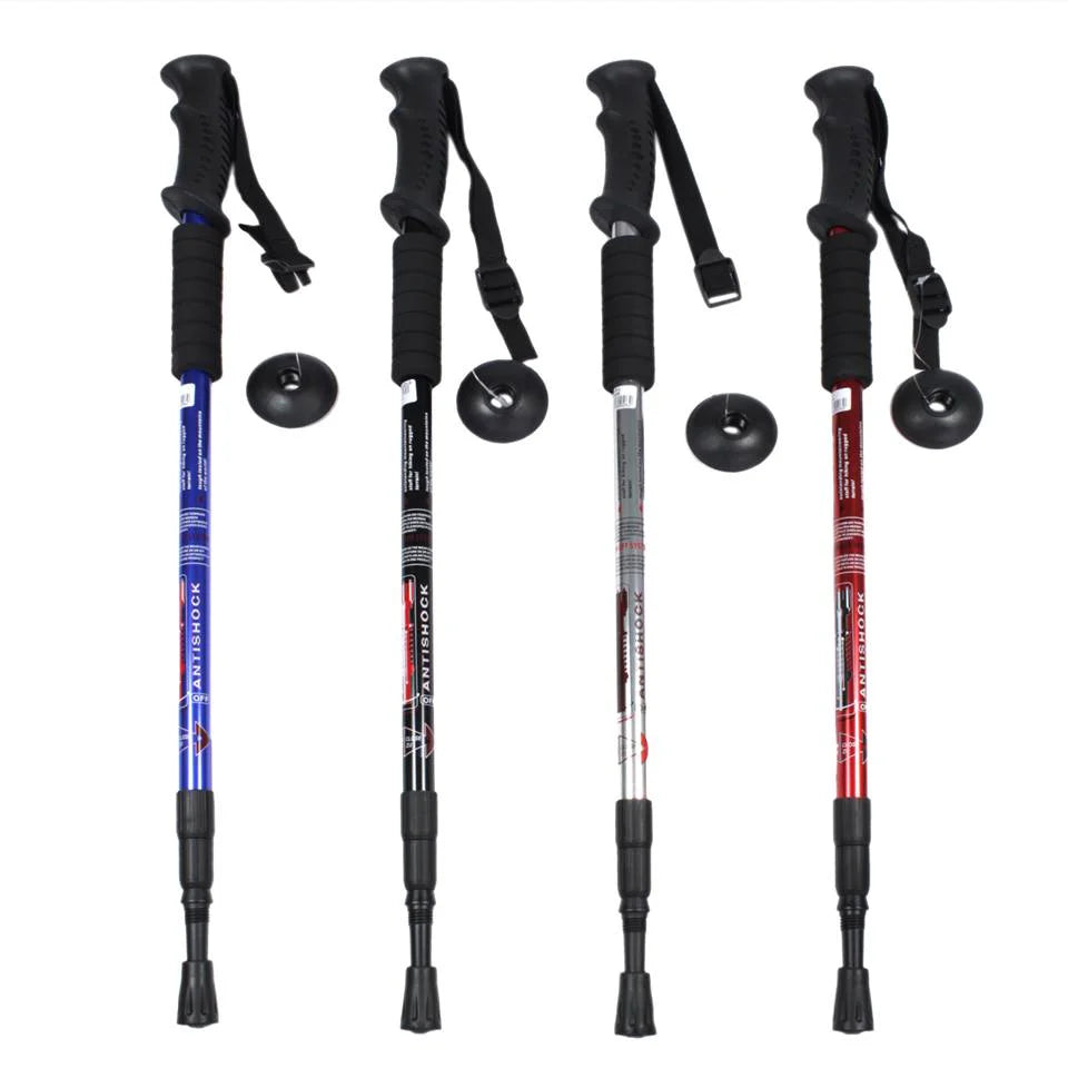 BASTON TREKKING/M. LISO